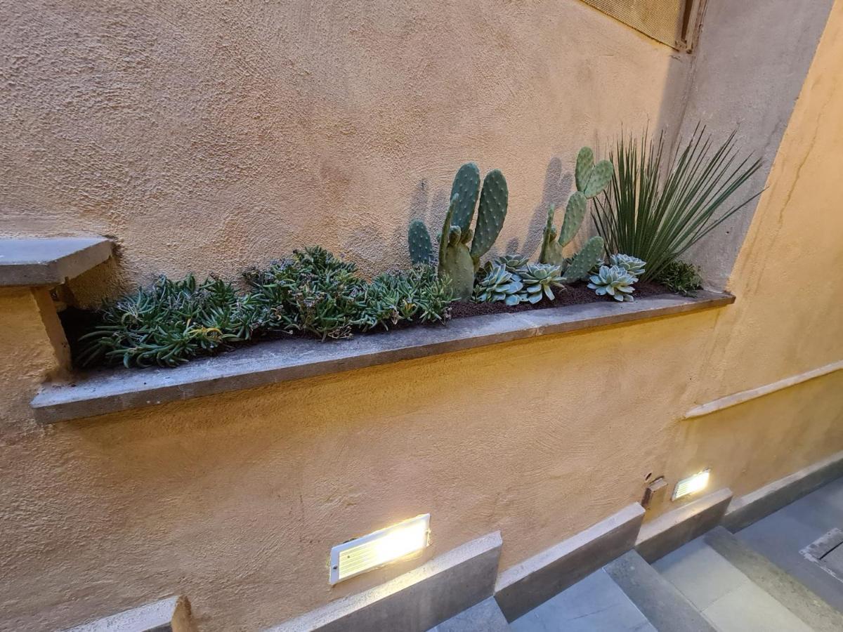 Apartment Vicolo Navona